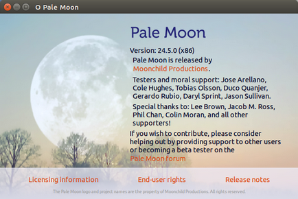 Встановити веб-браузер pale moon 24 1
