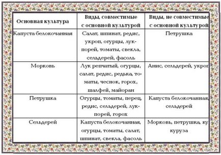 Дізнайтеся про ущільнених посадках і сумісності овочів на грядках, про100огород