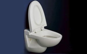 Vacuum bol de toaletă pentru acasă principiul de acțiune, demnitate, instrucțiuni de instalare, tipuri, alegere