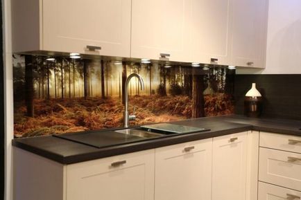 Вибір декоративного кухонного фартуха зі скла фото з кухні