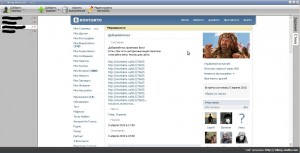 Вікінг ботовод - програма для автоматичного розкручування вконтакте, блог вебмастера