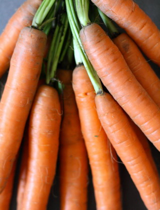 Вирощування моркви правила посадки