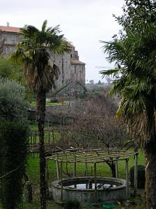 Viterbo (excursii de la Roma) pelerini scumpi