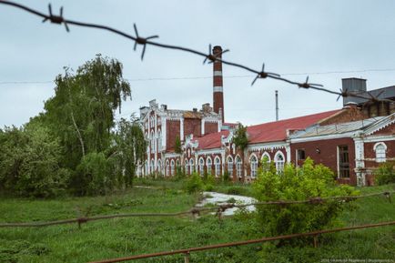 În zona de Crăciun