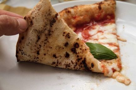 Totul despre sosul de roșii italian și pizza marinara