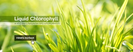 Clorofila - clorofil lichid nsp în moldova