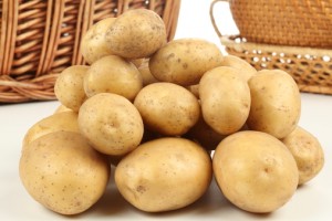 заготівля картоплі