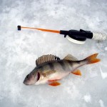 Mormyshka de pescuit de iarnă cu margele »