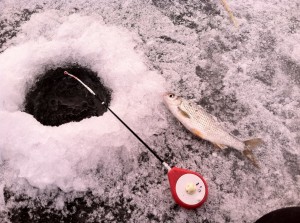 Зимни риболов жига с топчета 