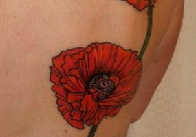 Semnificația și schițele unui tatuaj de crin, o fotografie care înseamnă tatuaje cu un crin