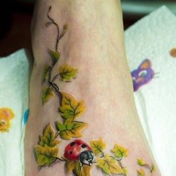 Semnificația unui tatuaj de ladybug, fotografii și schițe