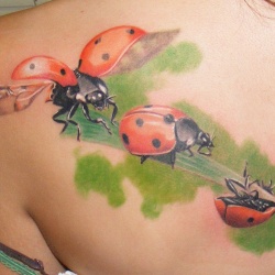 Semnificația unui tatuaj de ladybug, fotografii și schițe