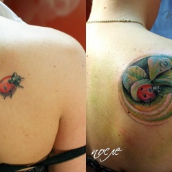 Semnificația unui tatuaj de ladybug, fotografii și schițe