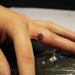 Semnificația unui tatuaj de ladybug, fotografii și schițe