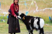 Ismerete tibeti szokások (napi Chupa varrott) Ismerete tibeti szokások