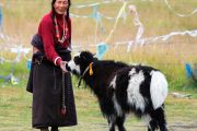 Introducere în obiceiurile tibetane