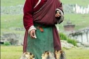 Ismerete tibeti szokások (normál gyapjú) Ismerete tibeti szokások