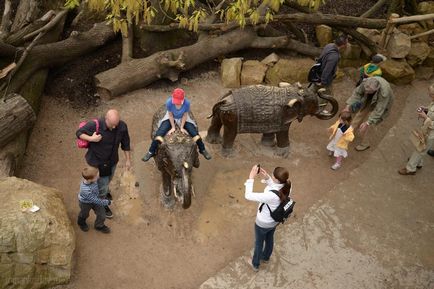 Gradina zoologica din Praga