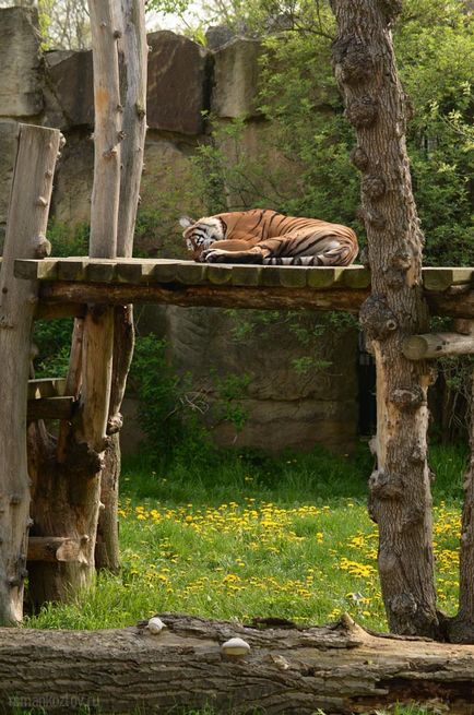 Gradina zoologica din Praga