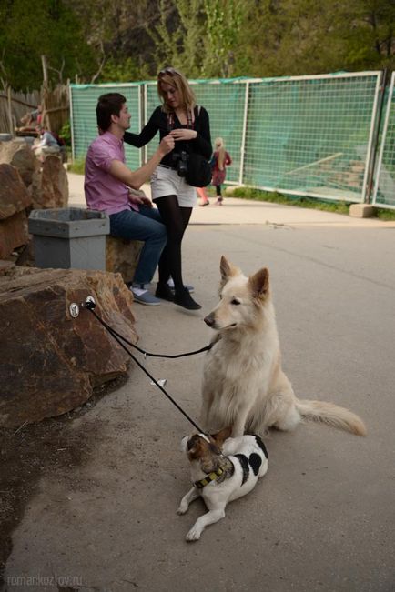 Gradina zoologica din Praga