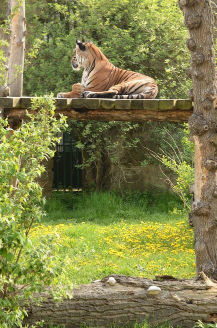 Gradina zoologica din Praga