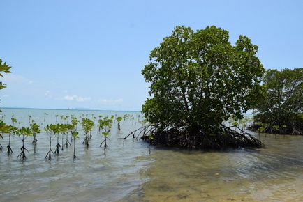 10 ok, hogy szeressük Koh Phangan