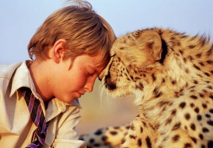 15 душевних фільмів для тих, хто любить тварин
