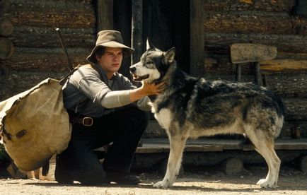 15 Filme sufletești pentru cei care iubesc animalele