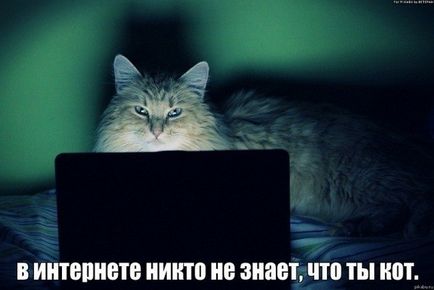 20 kényelmetlenségeket social network 20 kényelmetlenségeket social network