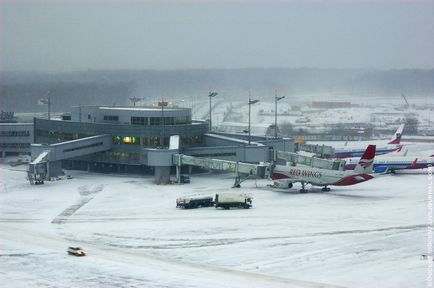 Aeroportul nepotului a