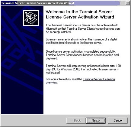 Activarea serverelor terminale în Windows Server 2000