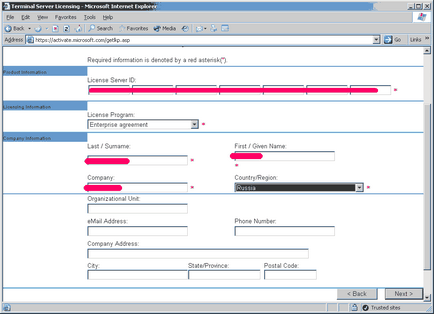 Activarea serverelor terminale în Windows Server 2000