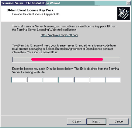 Activarea serverelor terminale în Windows Server 2000