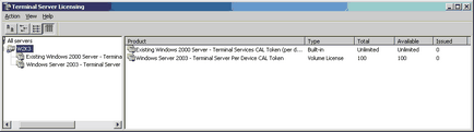 Activarea serverelor terminale în Windows Server 2000