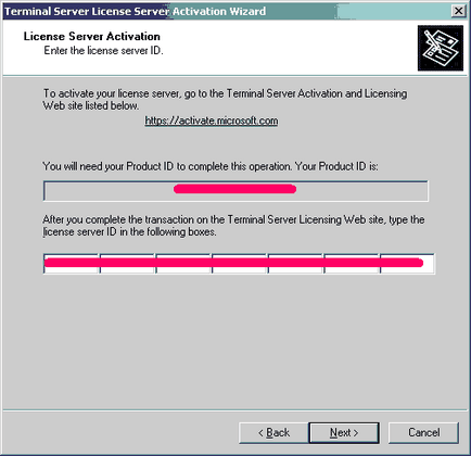 Activarea serverelor terminale în Windows Server 2000