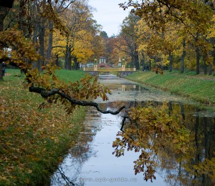 Alexander Park în satul regal