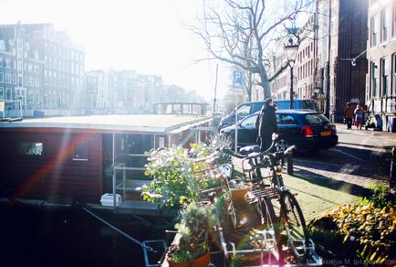 Amszterdam menedéket macskák egy uszály, fotó hírek