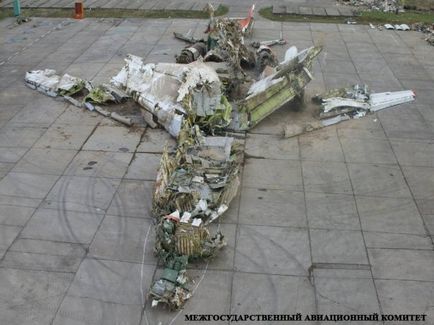 Și dacă avionul polonez a căzut sub Smolensk 18