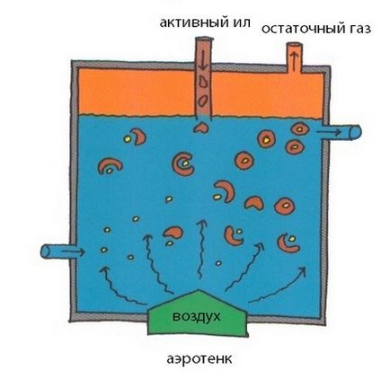 Bacteriile pentru cisternele septice și cisternele ce fel de microbi vii sunt mai buni, revizuiri