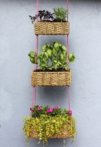 Балконні ящики для квітів - пластикові, дерев'яні, керівництво по вибору