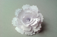 Floare albă de hârtie cu mâinile proprii