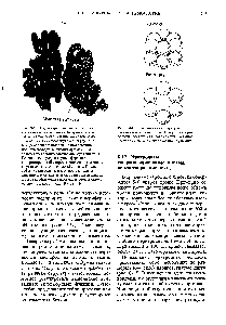 Fehérjék oligomer szerkezet - hivatkozási vegyész 21