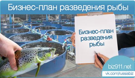 Plan de afaceri pentru piscicultura, cum să organizați o afacere de ferme de pește