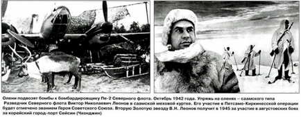 Martial rénszarvas szánkót (szarvas) Martial rénszarvas szánkót