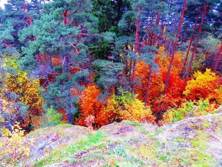 Grădina Botanică și - Scaunul Sângeros - Petrozavodsk