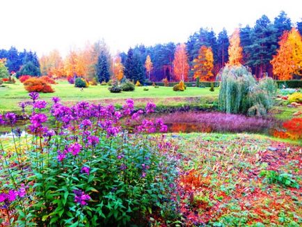 Grădina Botanică și - Scaunul Sângeros - Petrozavodsk