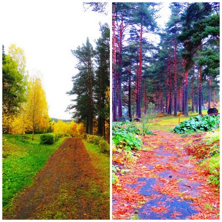 Ботанічний сад і - чортів стілець - Петрозаводськ