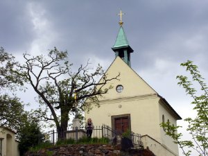 Gradina botanica din Praga fotografie