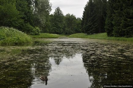 Царське село александровский парк в місті Пушкін