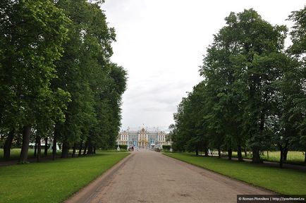 Parcul Tsarskoe Selo Alexander în Pușkin